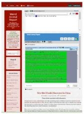 Weird Animal Report website screen capture